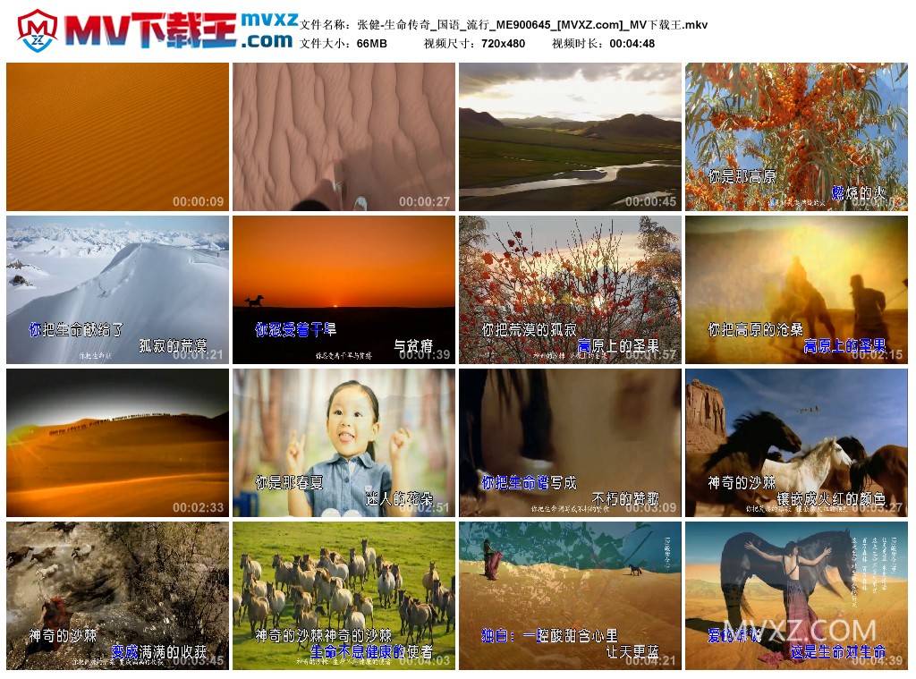 张健-生命传奇_国语_流行_ME900645